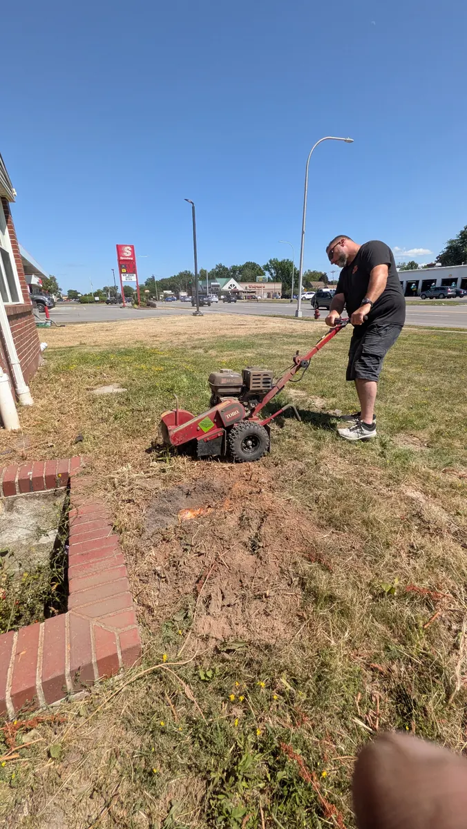 Cleanup & Maintenance